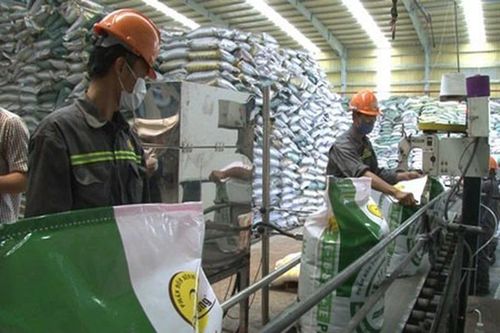 Cân nhắc việc áp thuế VAT 5% với phân bón và vật tư nông nghiệp