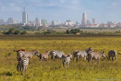 Kenya bãi bỏ thị thực cho tất cả du khách