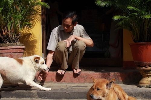 Hội An mong muốn trở thành 'thành phố không thịt chó' đầu tiên cả nước
