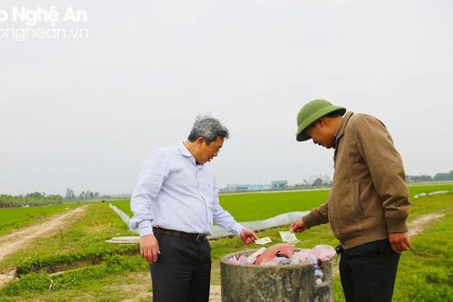 Giảm thiểu tác hại thuốc bảo vệ thực vật trên vùng rau