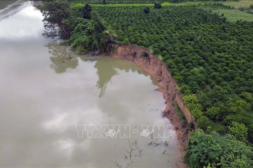 Yêu cầu triển khai ngay việc đền bù sạt lở bờ sông Krông Nô
