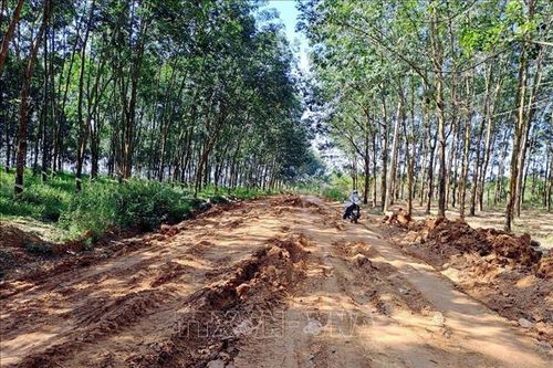 Khắc phục giao thông trên tuyến đường đang xây dựng tại Đắk R'la (Đắk Nông)