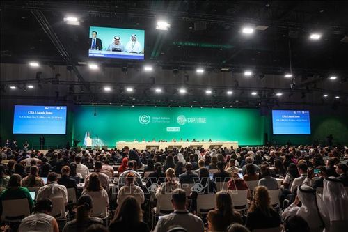 COP28: Vẫn chưa có thỏa thuận kích hoạt thị trường giao dịch carbon