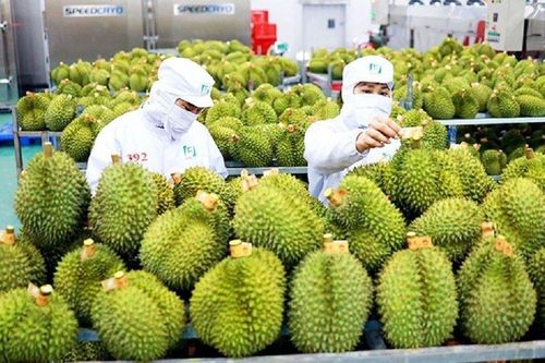 Xuất khẩu sang Trung Quốc tăng ấn tượng: Kỳ vọng 'bùng nổ'