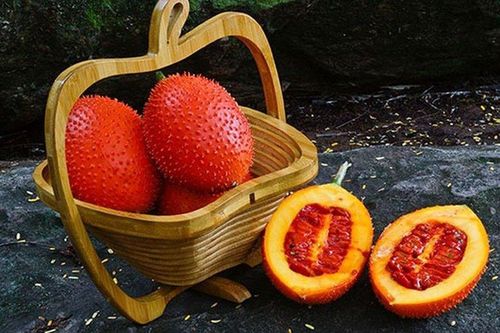 Phần giá trị nhất của quả gấc, nhiều người không biết vứt đi