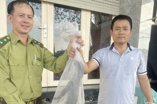 'Chạm trán' con thú quý gần bờ kênh trước nhà, người đàn ông có hành động quyết đoán