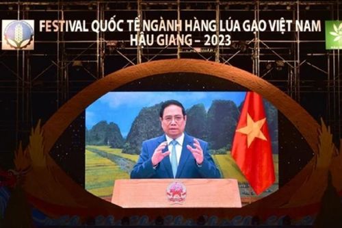 Festival lúa gạo Việt Nam - Hậu Giang 2023: Khẳng định vị thế của ngành lúa gạo