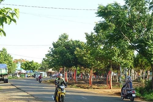 Ủy ban nhân dân tỉnh Gia Lai trả lời kiến nghị của cử tri