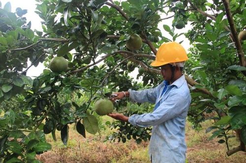Khánh Vĩnh: Dồn sức để thoát nghèo
