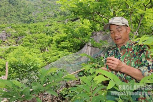 Các cấp hội nông dân: Đồng hành với nông dân trong phát triển kinh tế