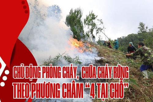Chủ động phòng cháy, chữa cháy rừng theo phương châm '4 tại chỗ'