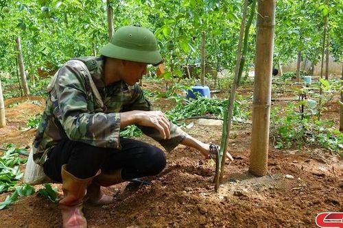 Tập trung lãnh đạo phát triển kinh tế, giảm nghèo bền vững