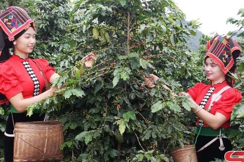 Nhân rộng các mô hình sản xuất nông nghiệp theo hướng hữu cơ