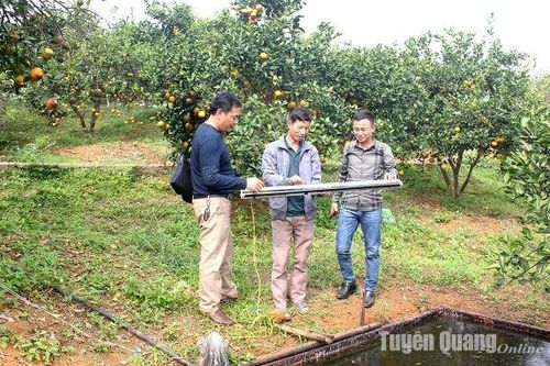 Ứng dụng khoa học và công nghệ trong các hợp tác xã