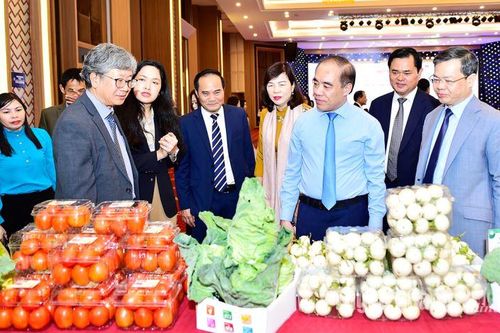 Tổng kết dự án Chương trình phát triển khu vực nông thôn giai đoạn 2019-2023