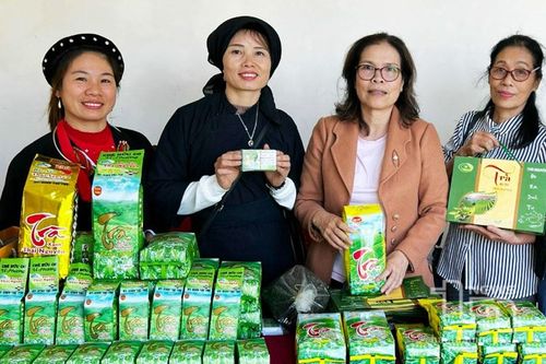 Trên 1.200 hộ được vay vốn từ Quỹ hỗ trợ nông dân