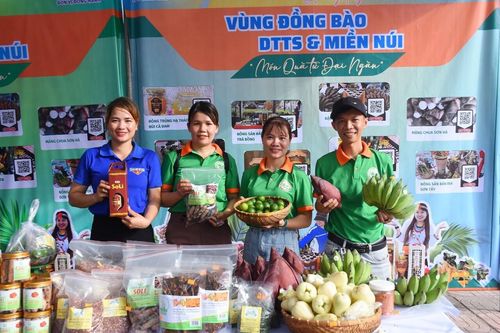 HTX Nông nghiệp và Dịch vụ Sơn Liên: Hiệu quả từ ứng dụng khoa học kỹ thuật vào sản xuất