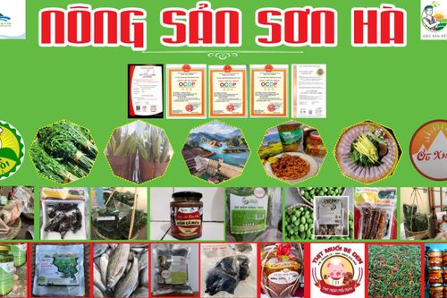 Hợp tác xã Nông Nghiệp Sạch Sơn Hà: Góp phần làm thay đổi diện mạo nông thôn tại địa phương