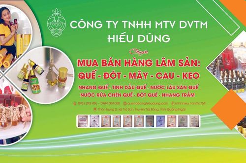 Công ty TNHH MTV Dịch vụ Thương mại Hiếu Dũng: Nâng tầm thương hiệu quế Trà Bồng