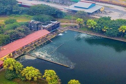 Supe Lâm Thao kiên định mục tiêu bảo vệ môi trường
