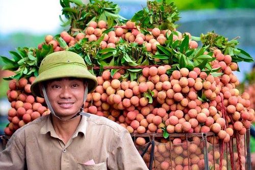 Hiểu thị trường Trung Quốc để xuất khẩu bền vững