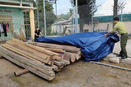 Vụ phát hiện gỗ lậu trên đất của Trưởng Phòng Nội vụ: Phạt người anh trai, tịch thu tang vật