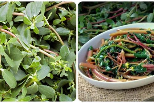 Rau sam tốt cho sức khỏe nhưng 'đại kỵ' với 5 nhóm người này
