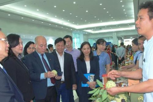 Kim ngạch xuất, nhập khẩu vùng Đông Nam Bộ đạt hơn 200 tỷ USD