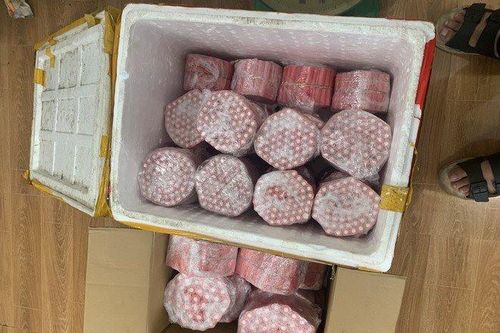 Bắt giữ đối tượng vận chuyển pháo qua sông Hồng