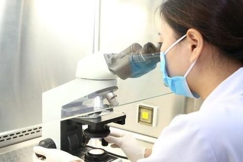 Bệnh viện Đa khoa tỉnh Hà Tĩnh: Tiếp tục triển khai kỹ thuật hỗ trợ sinh sản