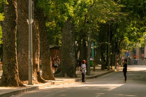 'Long thành gấm hoa' - Triển lãm ảnh tôn vinh phố cổ Hà Nội