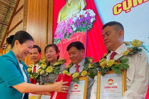 Tuyên dương nhiều cán bộ Mặt trận tiêu biểu cụm Tây Nam bộ