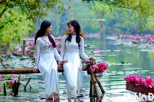 Mê mẩn vẻ đẹp mùa hoa súng suối Yến