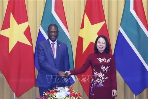 Phó Chủ tịch nước Võ Thị Ánh Xuân hội đàm với Phó Tổng thống Nam Phi Paul Mashatile