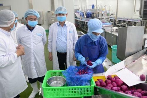 Tiền Giang: Xây dựng nền nông nghiệp theo chuỗi giá trị