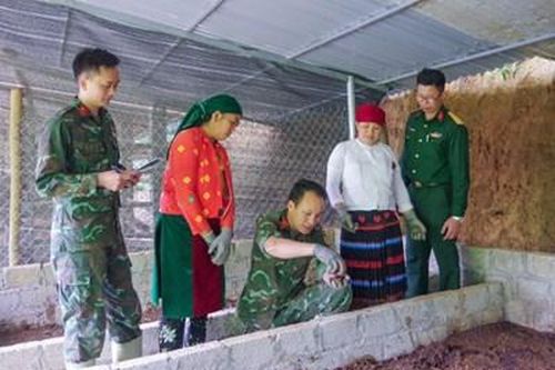 Bộ đội hậu cần làm theo lời Bác Hồ dạy: Hiệu quả từ mô hình nuôi giun quế