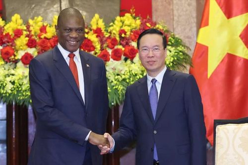 Thúc đẩy quan hệ hợp tác nhiều mặt giữa Việt Nam và Nam Phi