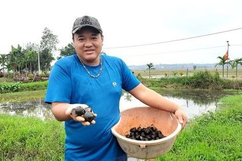 Chàng trai Quảng Trị 'giấu' hàng trăm triệu đồng dưới ao đất