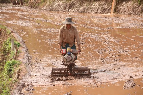 Huyện Yên Châu chăm lo đời sống người dân tộc thiểu số
