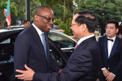 Bộ trưởng Ngoại giao Bùi Thanh Sơn đón, hội đàm với Bộ trưởng Ngoại giao Benin Olushegun Adjadi Bakari