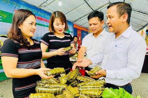 Hiệu quả từ chương trình mục tiêu vùng đồng bào dân tộc thiểu số và miền núi ở Quảng Ngãi