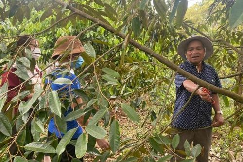 Già làng-'cầu nối' thực hiện chương trình phát triển KT-XH vùng đồng bào dân tộc thiểu số