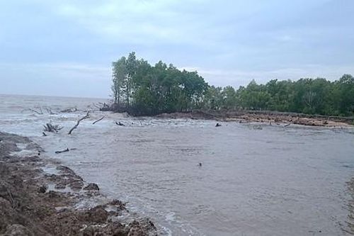 Sóng biển đánh 'vỡ' vuông tôm, nhà dân vùng ven biển Cà Mau