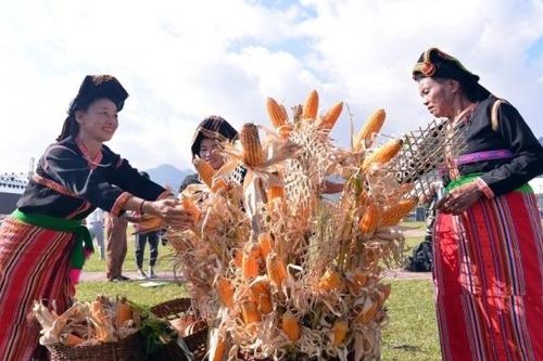 Độc đáo Tết Ngô của người Cống Lai Châu
