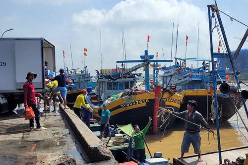 Thêm một cảng cá ở Bà Rịa-Vũng Tàu bị ra khỏi danh sách cảng chỉ định