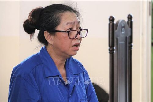 Xét xử 'trùm buôn lậu' Nguyễn Thị Kim Hạnh và hai cựu cán bộ Công an trong vụ án trốn thuế gần 800 tỷ đồng