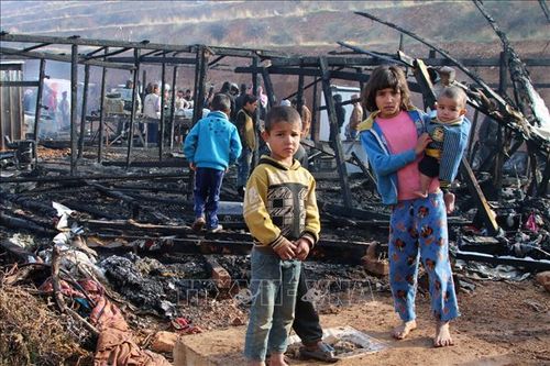 UNICEF: Khủng hoảng tài chính tại Liban ảnh hưởng đến quyền được học tập của trẻ em