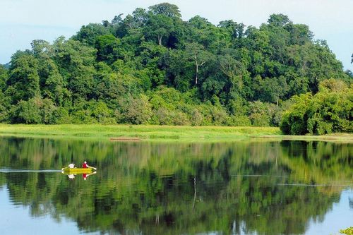 Trải nghiệm 'lớp học trong rừng' tại Vườn Quốc gia Cát Tiên