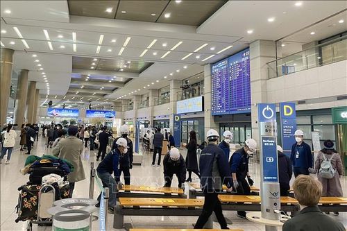 Hàn Quốc phát hiện số người nhập cư bất hợp pháp cao kỷ lục trong năm 2023