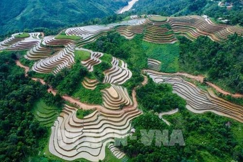 Địa điểm du lịch nào được người Việt quan tâm nhất năm 2023?